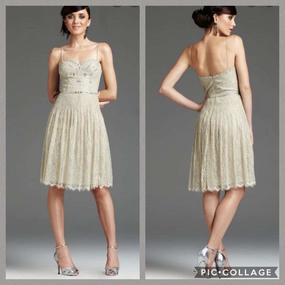 Mignon lace overlay cocktail dress - Picture 1 of 12